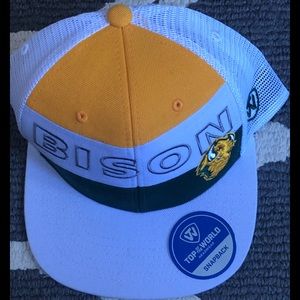 NDSU BISON BASEBALL CAP
